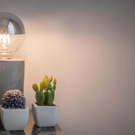 Nocleg ze śniadaniem Medusa Chiaia 164